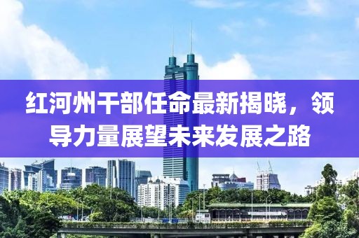 红河州干部任命最新揭晓，领导力量展望未来发展之路