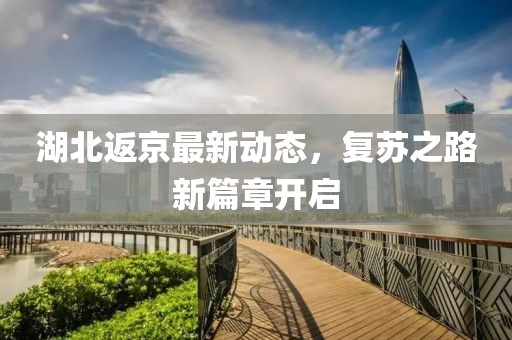 湖北返京最新动态，复苏之路新篇章开启