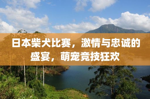 日本柴犬比赛，激情与忠诚的盛宴，萌宠竞技狂欢