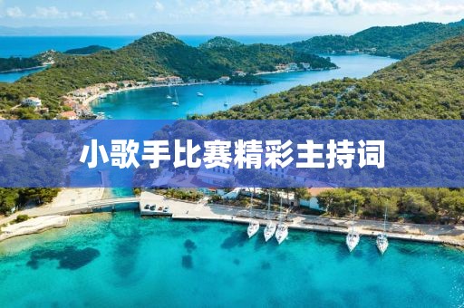 小歌手比赛精彩主持词