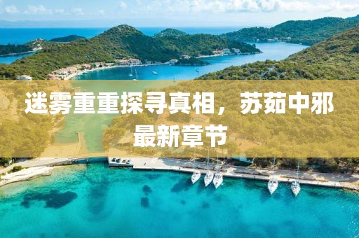 迷雾重重探寻真相，苏茹中邪最新章节