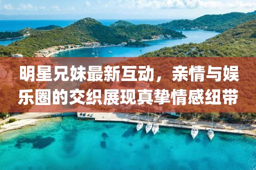 明星兄妹最新互动，亲情与娱乐圈的交织展现真挚情感纽带