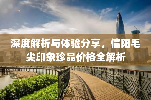 深度解析与体验分享，信阳毛尖印象珍品价格全解析