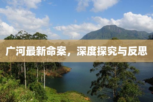 广河最新命案，深度探究与反思