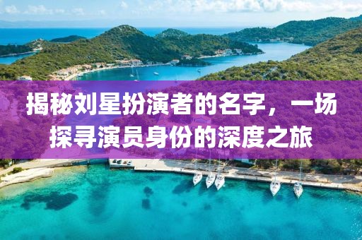 揭秘刘星扮演者的名字，一场探寻演员身份的深度之旅