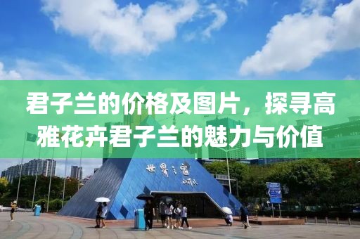 君子兰的价格及图片，探寻高雅花卉君子兰的魅力与价值