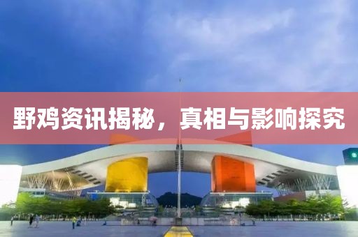 野鸡资讯揭秘，真相与影响探究