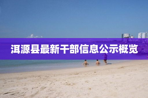 洱源县最新干部信息公示概览