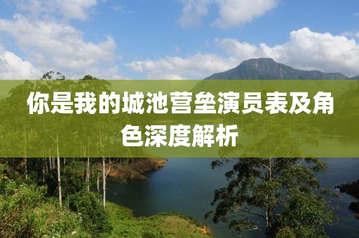 你是我的城池营垒演员表及角色深度解析