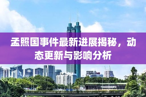孟照国事件最新进展揭秘，动态更新与影响分析