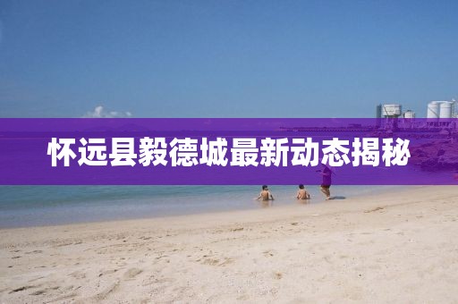不止曾小贤 第11页