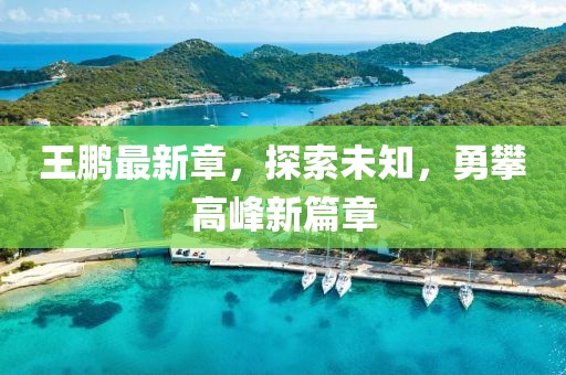 王鹏最新章，探索未知，勇攀高峰新篇章