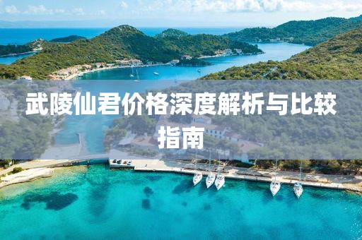 武陵仙君价格深度解析与比较指南