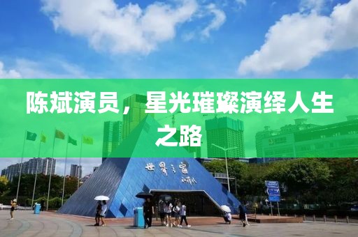 陈斌演员，星光璀璨演绎人生之路