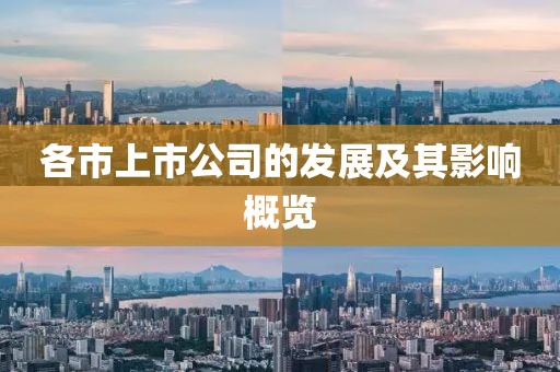 各市上市公司的发展及其影响概览