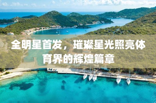 全明星首发，璀璨星光照亮体育界的辉煌篇章