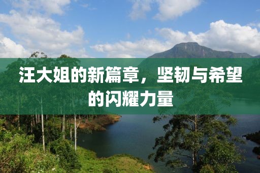 汪大姐的新篇章，坚韧与希望的闪耀力量