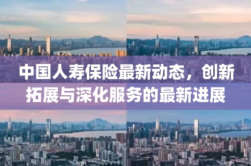 中国人寿保险最新动态，创新拓展与深化服务的最新进展