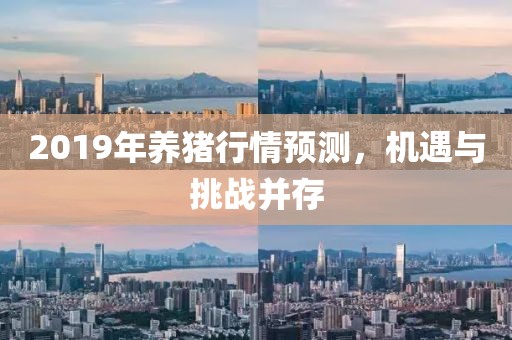 2019年养猪行情预测，机遇与挑战并存