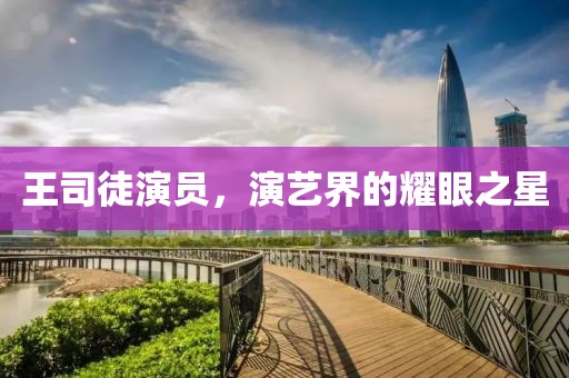 王司徒演员，演艺界的耀眼之星