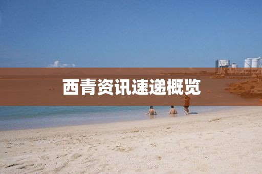 西青资讯速递概览