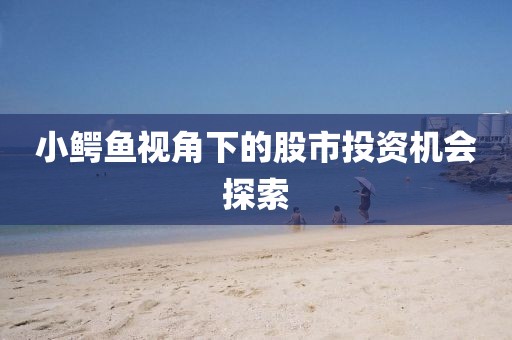 小鳄鱼视角下的股市投资机会探索
