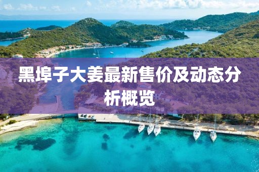 黑埠子大姜最新售价及动态分析概览