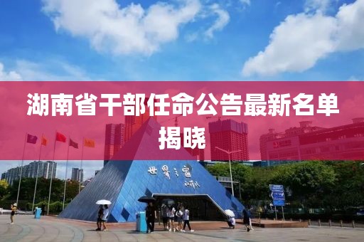 湖南省干部任命公告最新名单揭晓