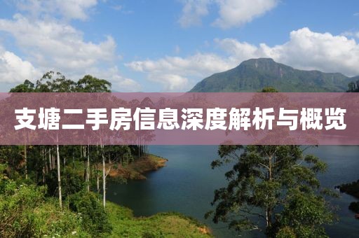 支塘二手房信息深度解析与概览