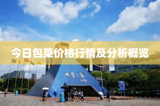 今日包菜价格行情及分析概览