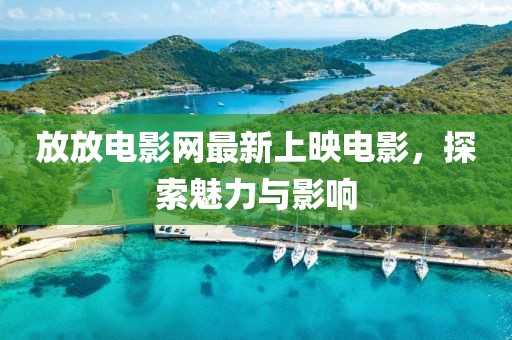 放放电影网最新上映电影，探索魅力与影响