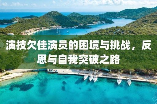 演技欠佳演员的困境与挑战，反思与自我突破之路