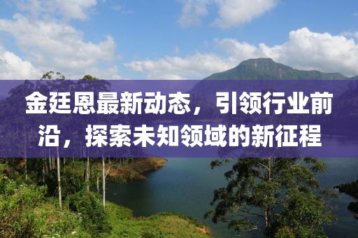 金廷恩最新动态，引领行业前沿，探索未知领域的新征程