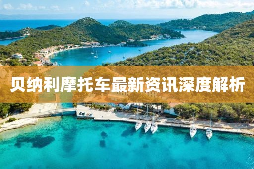 魚丸粗面 第11页