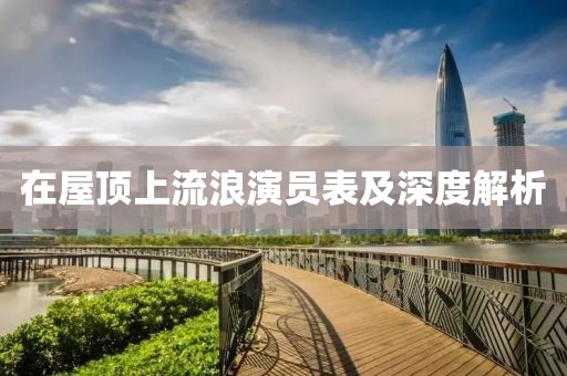在屋顶上流浪演员表及深度解析