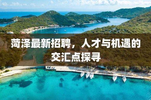 菏泽最新招聘，人才与机遇的交汇点探寻