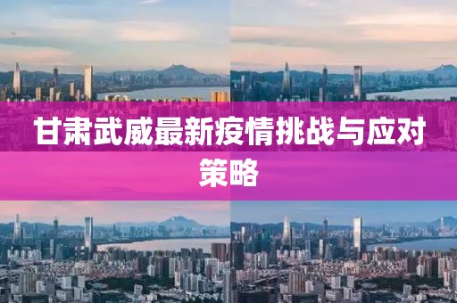 甘肃武威最新疫情挑战与应对策略