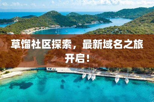 草馏社区探索，最新域名之旅开启！