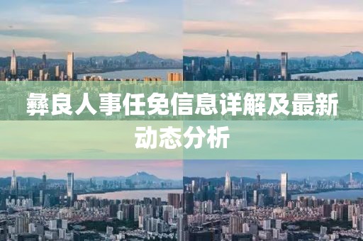 彝良人事任免信息详解及最新动态分析