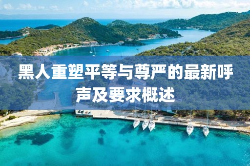 黑人重塑平等与尊严的最新呼声及要求概述