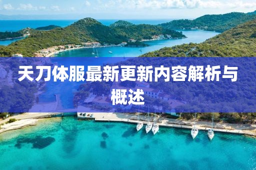 天刀体服最新更新内容解析与概述
