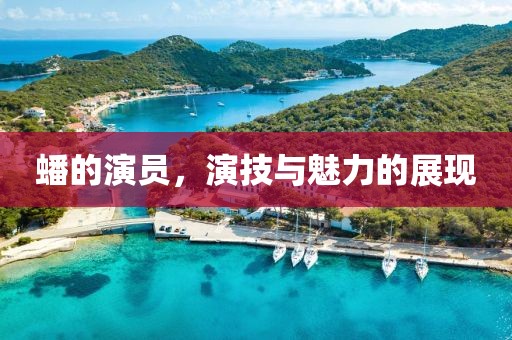 蟠的演员，演技与魅力的展现