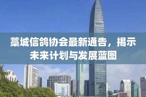 藁城信鸽协会最新通告，揭示未来计划与发展蓝图