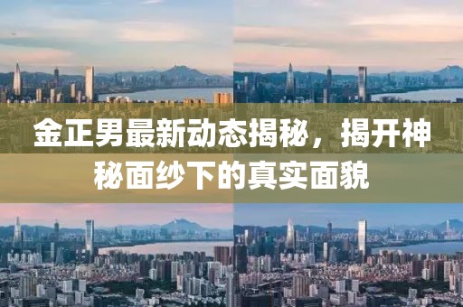 金正男最新动态揭秘，揭开神秘面纱下的真实面貌