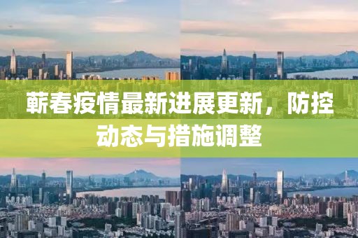 蕲春疫情最新进展更新，防控动态与措施调整