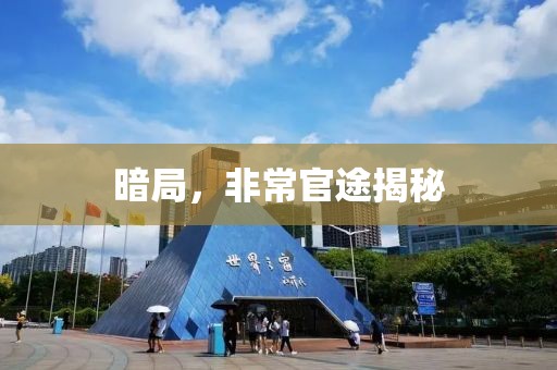 暗局，非常官途揭秘