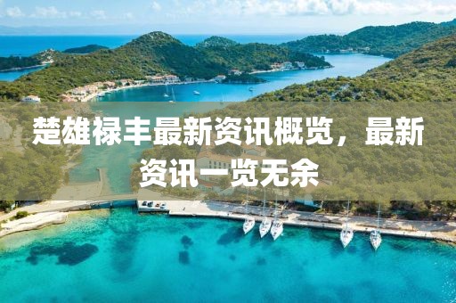 楚雄禄丰最新资讯概览，最新资讯一览无余