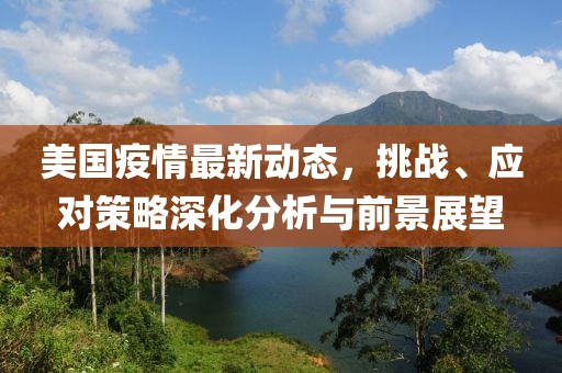 美国疫情最新动态，挑战、应对策略深化分析与前景展望