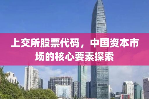 上交所股票代码，中国资本市场的核心要素探索