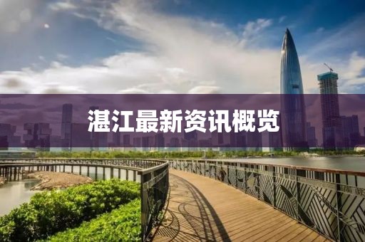 湛江最新资讯概览